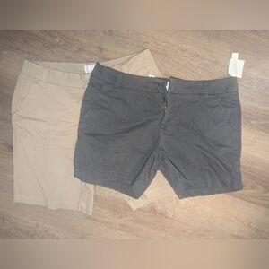 NWT Caslon/Nordstrom 2 Pack Women's Bermuda Shorts